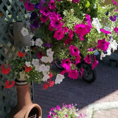 B&B Casa Fiorita